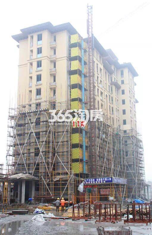 绿城蓝庭项目11号楼施工进程图（2015.12）