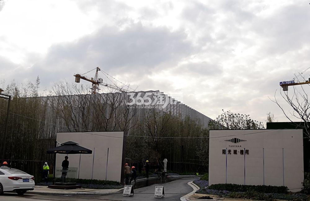 阳光城·檀苑示范区在建实景（11.21）