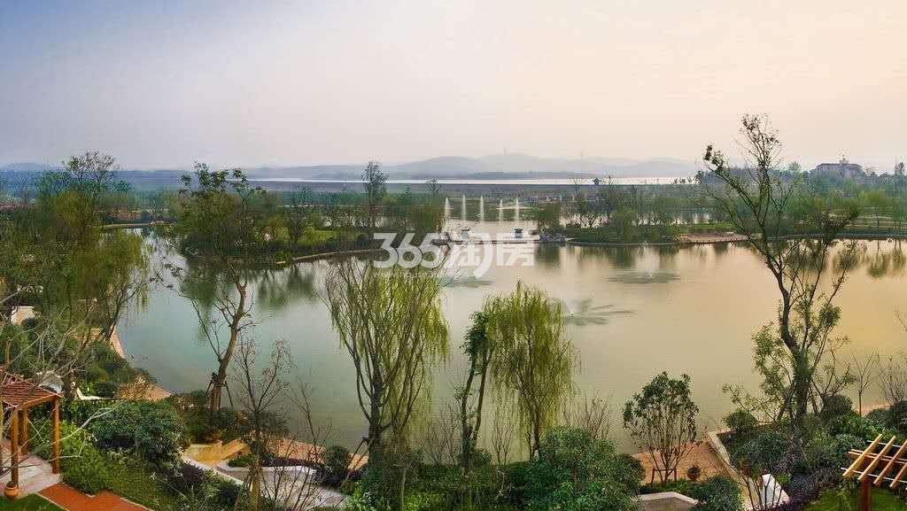 幸福紫蓬小筑天然水泊实景图（2019.7.9）