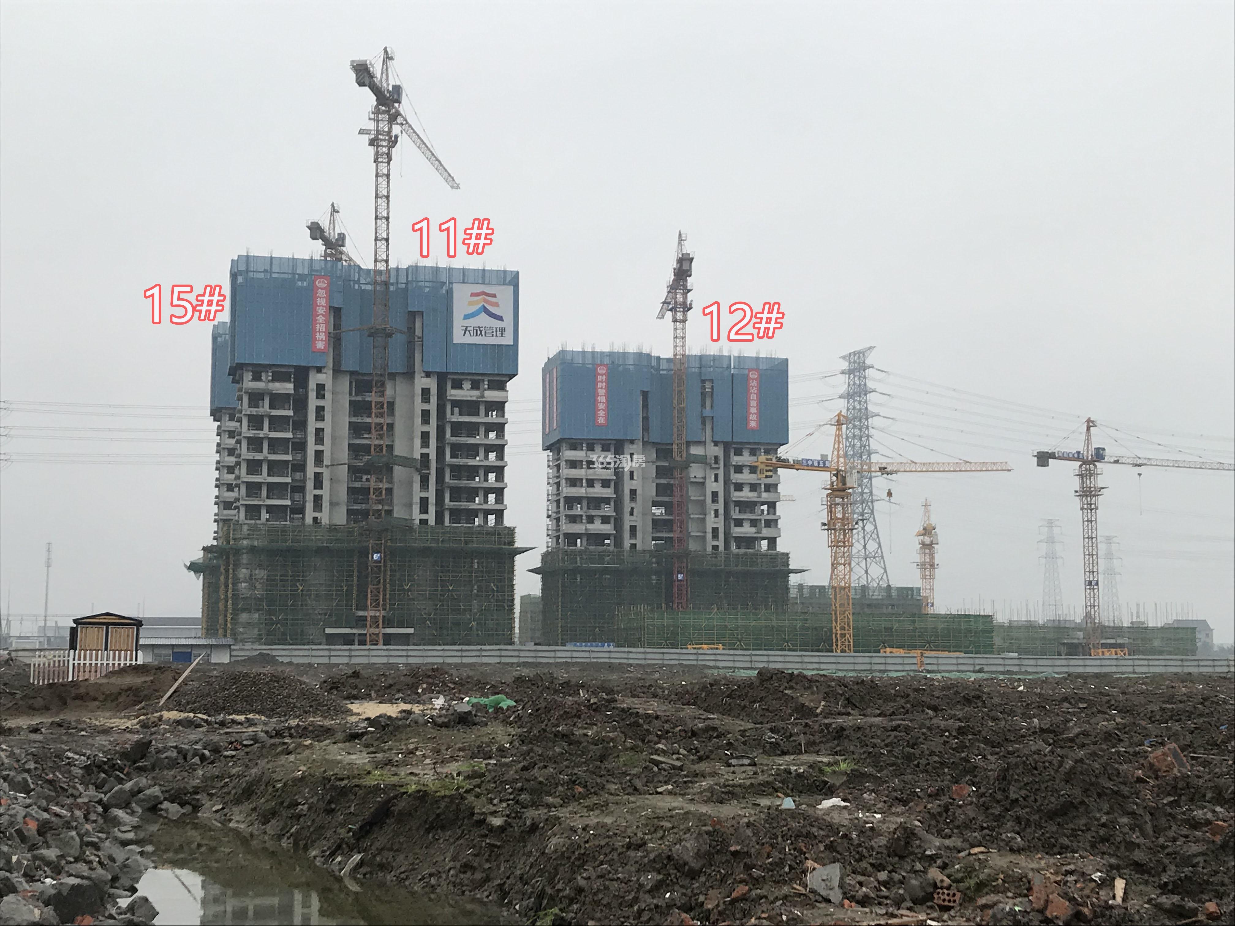 融信旭辉湘湖悦章11、12、15#施工实景图（2019年3月摄）