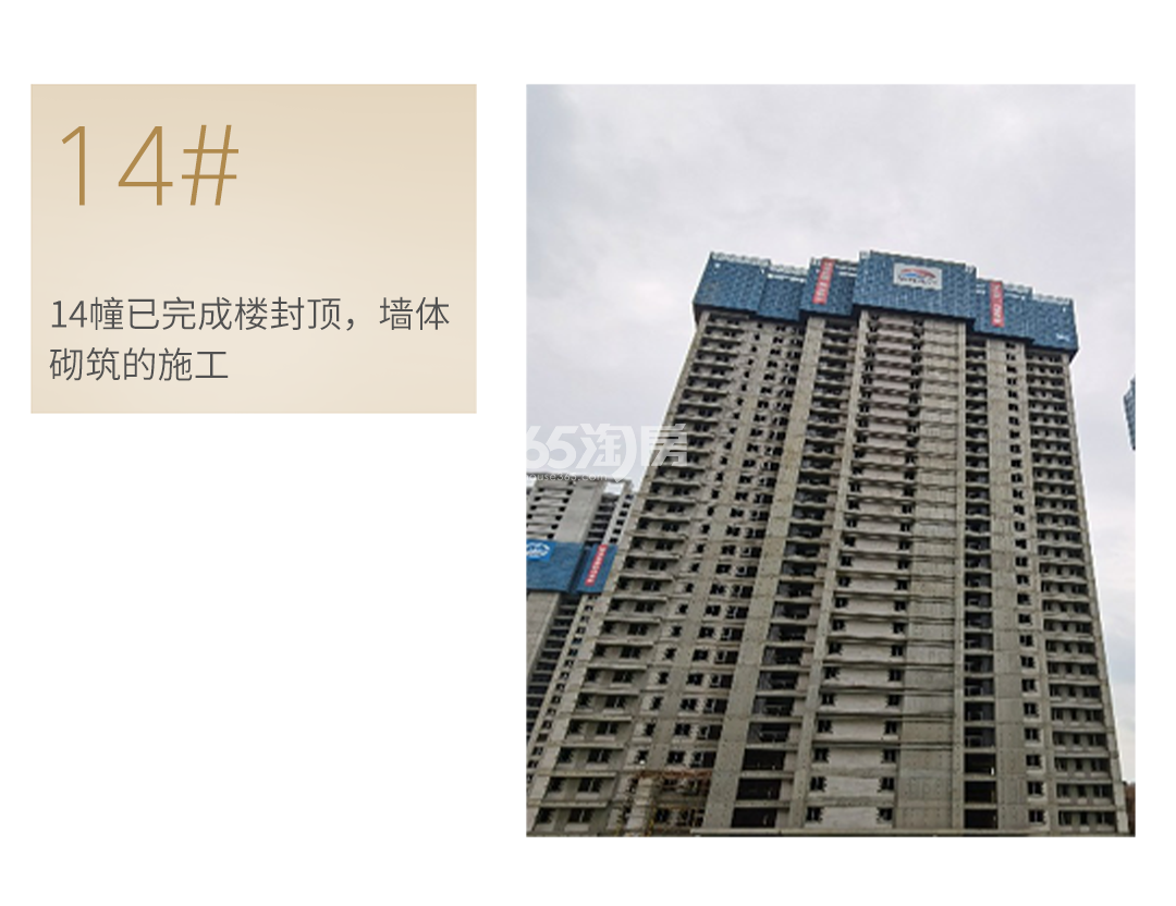 蔚宸悦城工程进度