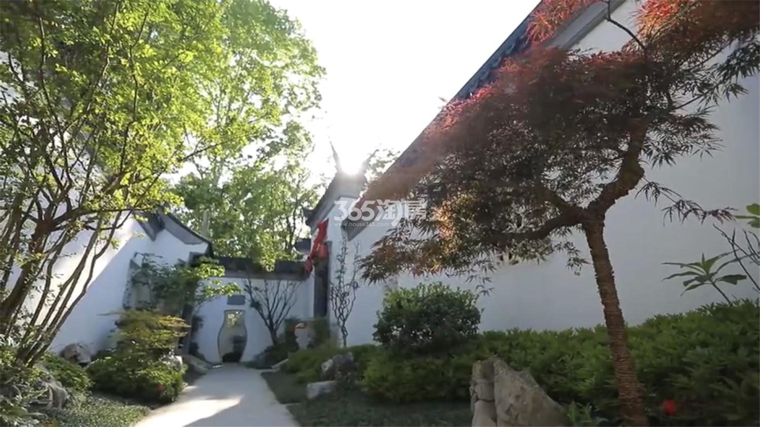 绿城南京桃花源小区内实景图（10.11）_南京绿城南京桃花源_南京新房网_365淘房