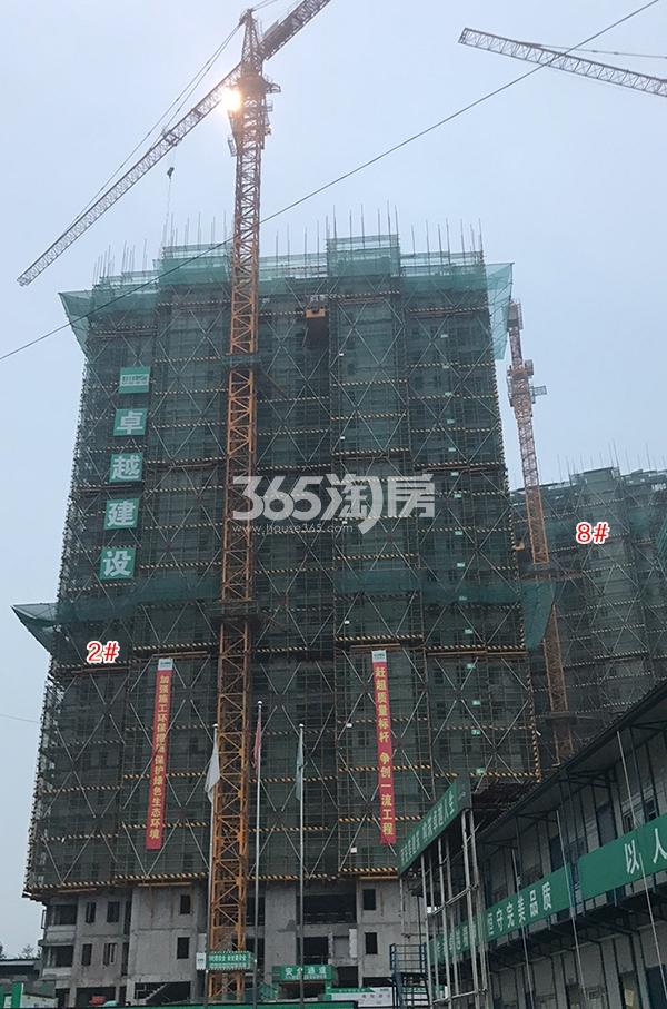 金辉贤林信步项目2、8号楼实景图（2018.5）