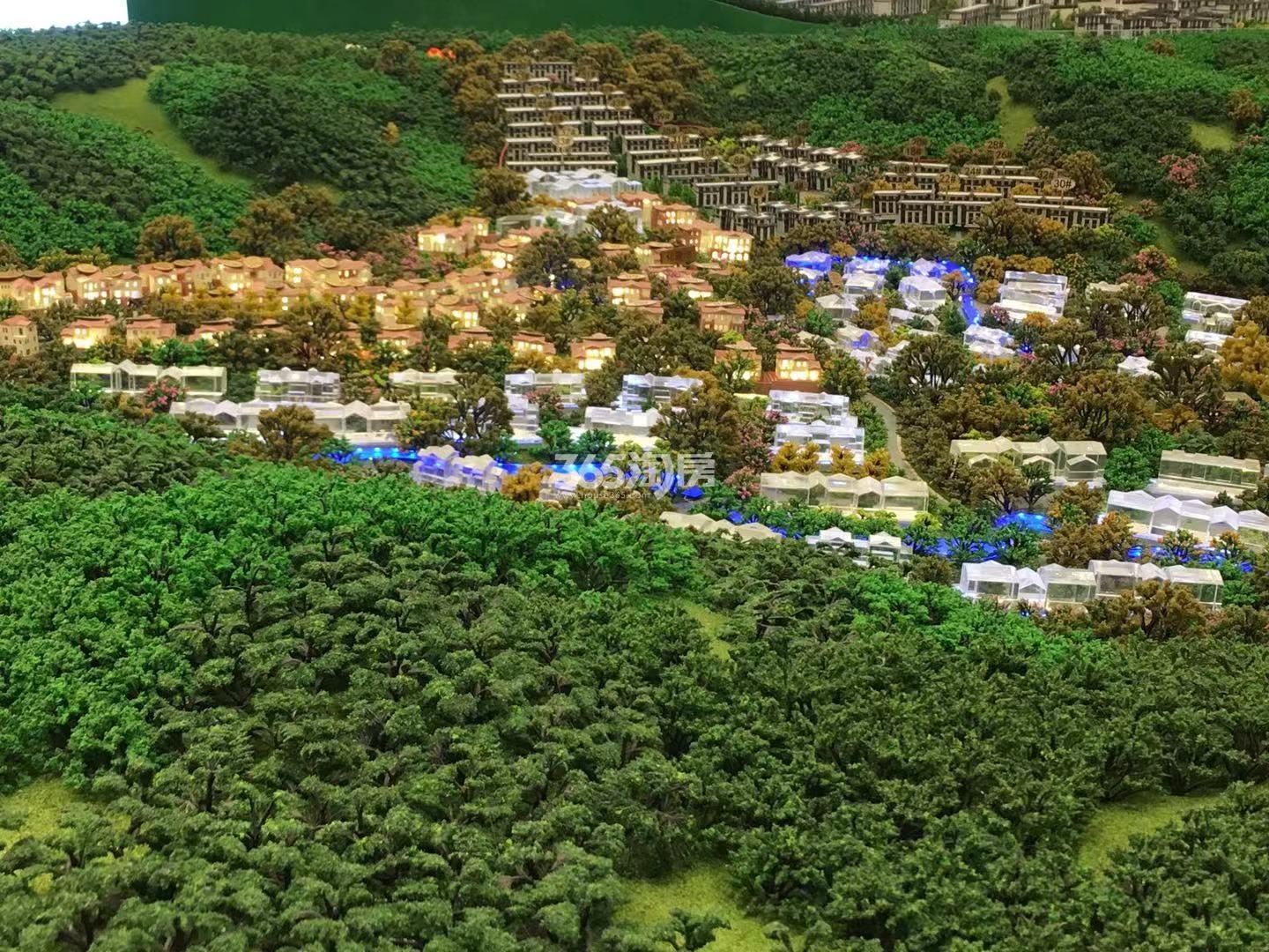 阳光城上林湖沙盘实景图（2019年10月摄）