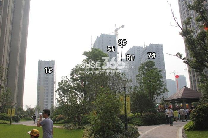 宋都东郡国际二期1、5、7-9号楼实景图 2015.6摄