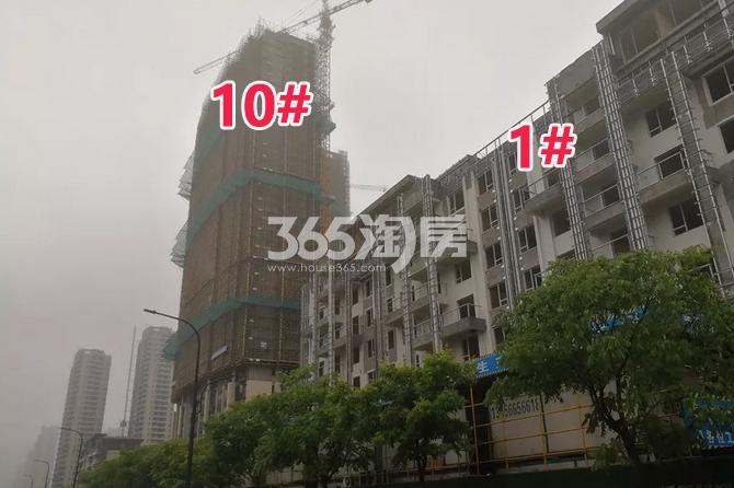 融信江南学府1、10#实景图 2018年7月摄