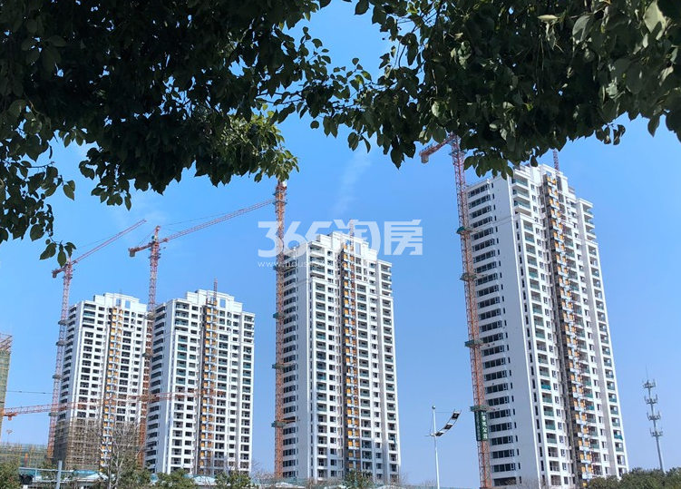 新城香悦公馆一期实景图 2018年7月摄