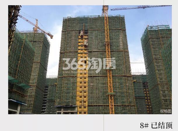 滨江碧桂园翡翠江南8#实景图 2018年12月摄