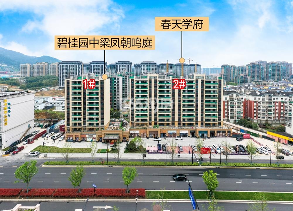 碧桂园中梁凤鸣公馆实景图