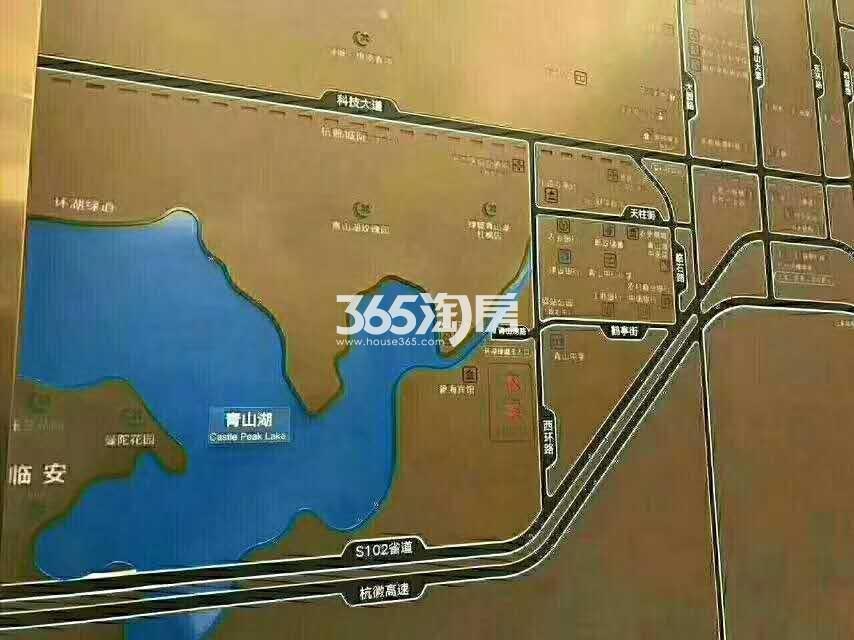 绿城雲杉郡区域沙盘实景图 2017年8月摄