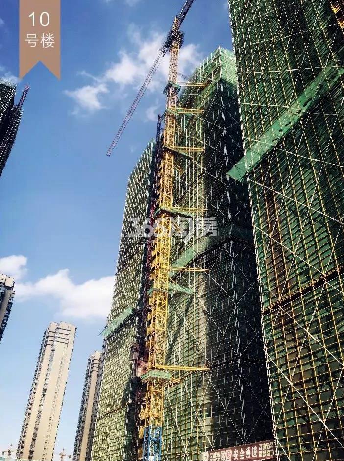 2018年9月融信公馆ARC高层10号楼(地名幢号)实景