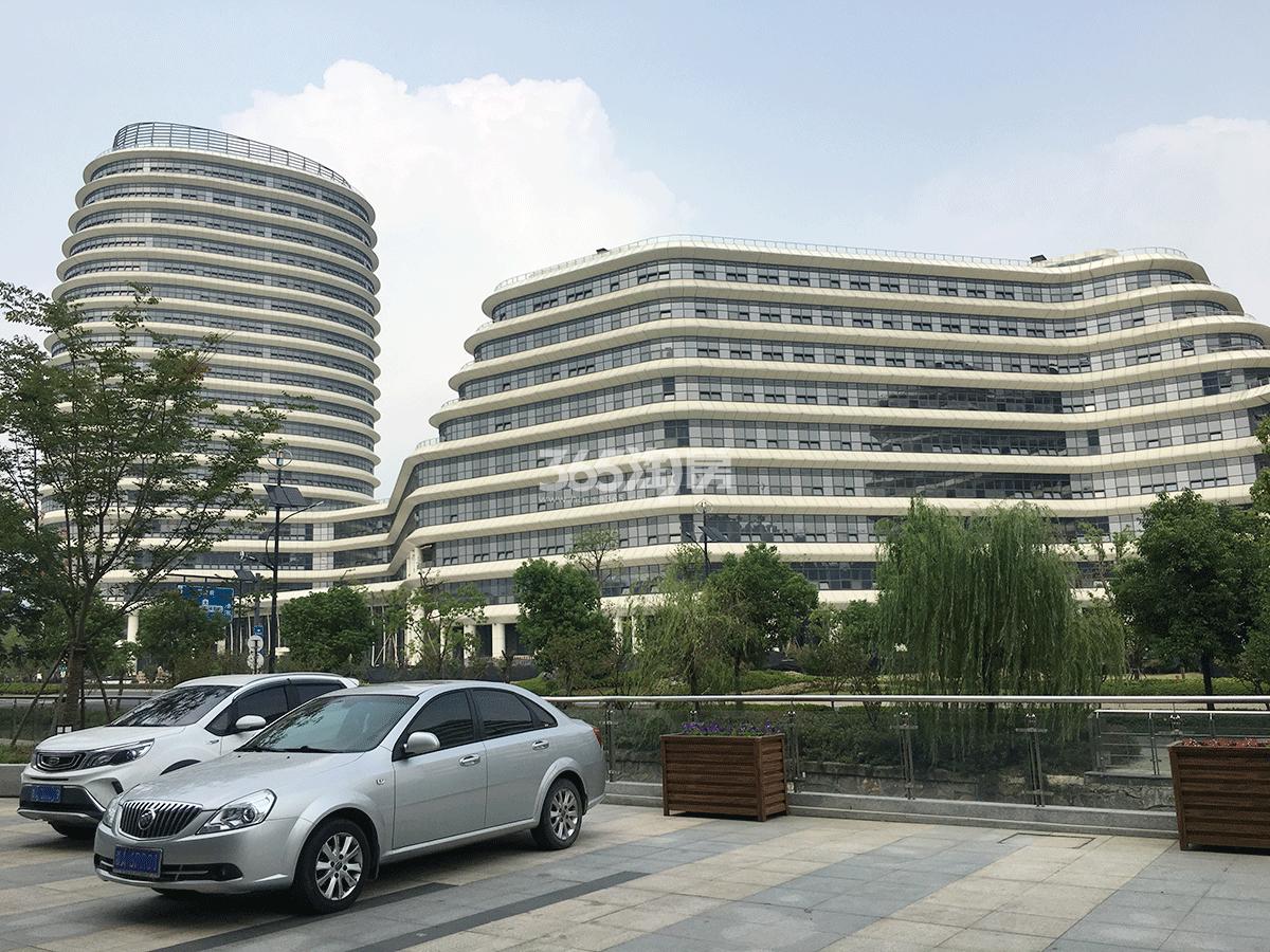 绿城国际社区周边的科技孵化基地、科创大楼（2018.9）