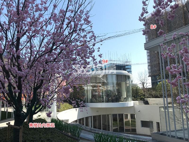阳光城未来悦项目8、9号楼实景图（2018.3）