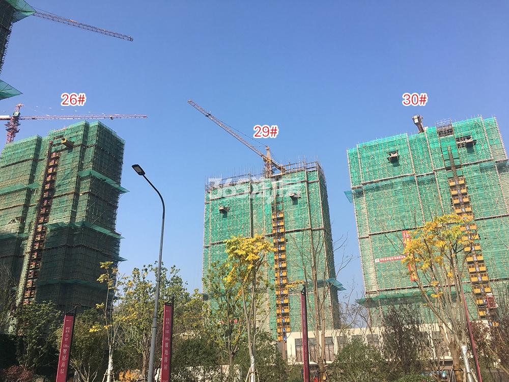 吴越府26、29、30#工程进展（2018.11）