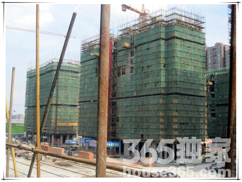 德信泊林印象施工现场实景图