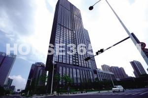 润和信雅达国际效果图