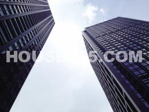 润和信雅达国际效果图