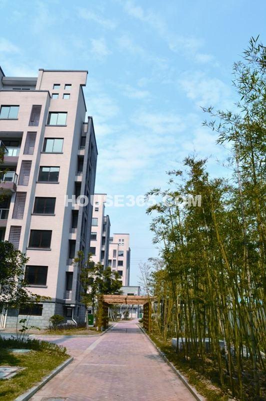 北湖绿洲花园实景图