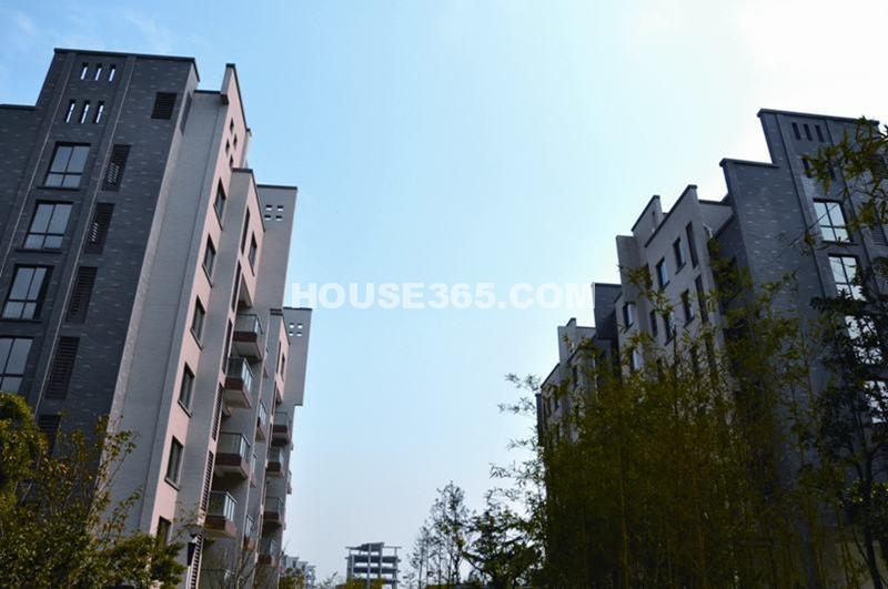北湖绿洲花园实景图
