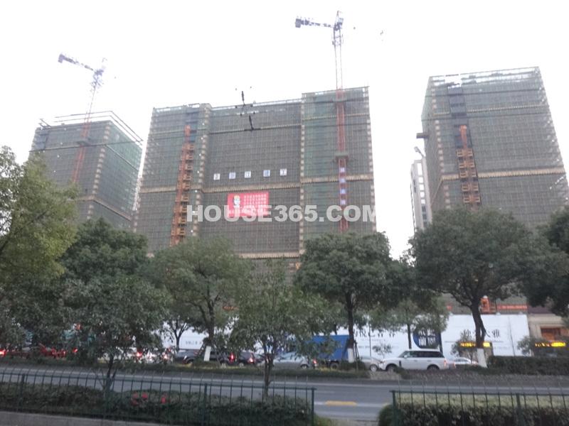 2012年12月底绿城蘭园实景图