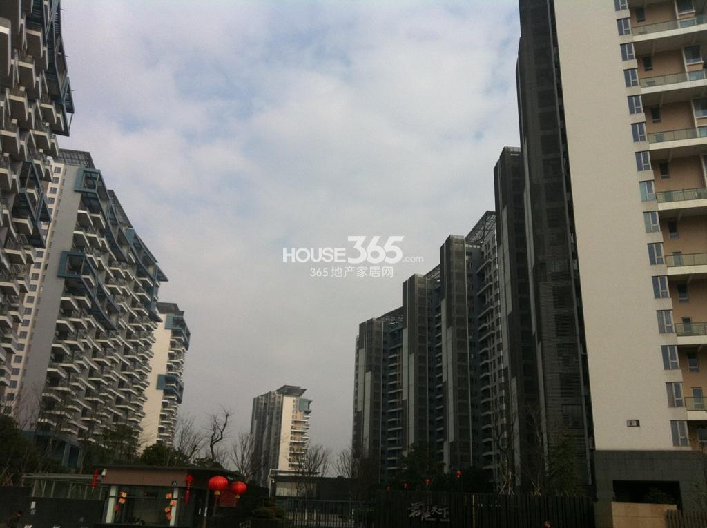 华鼎君临天下城外立面实景图（1.29）