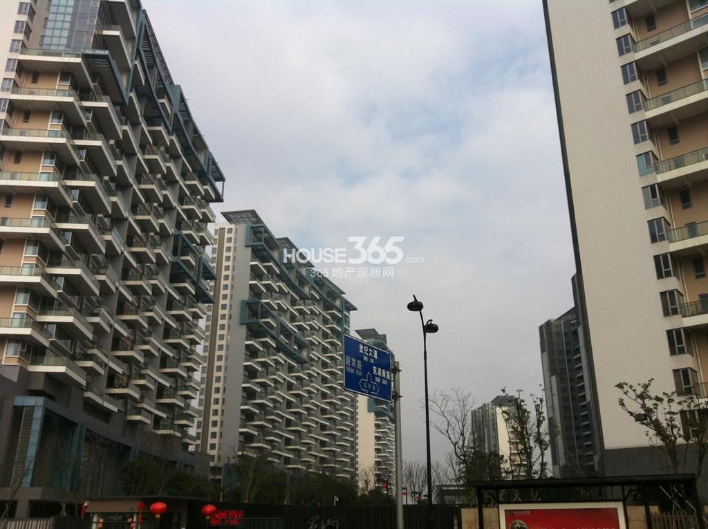 华鼎君临天下城外立面实景图（1.29）