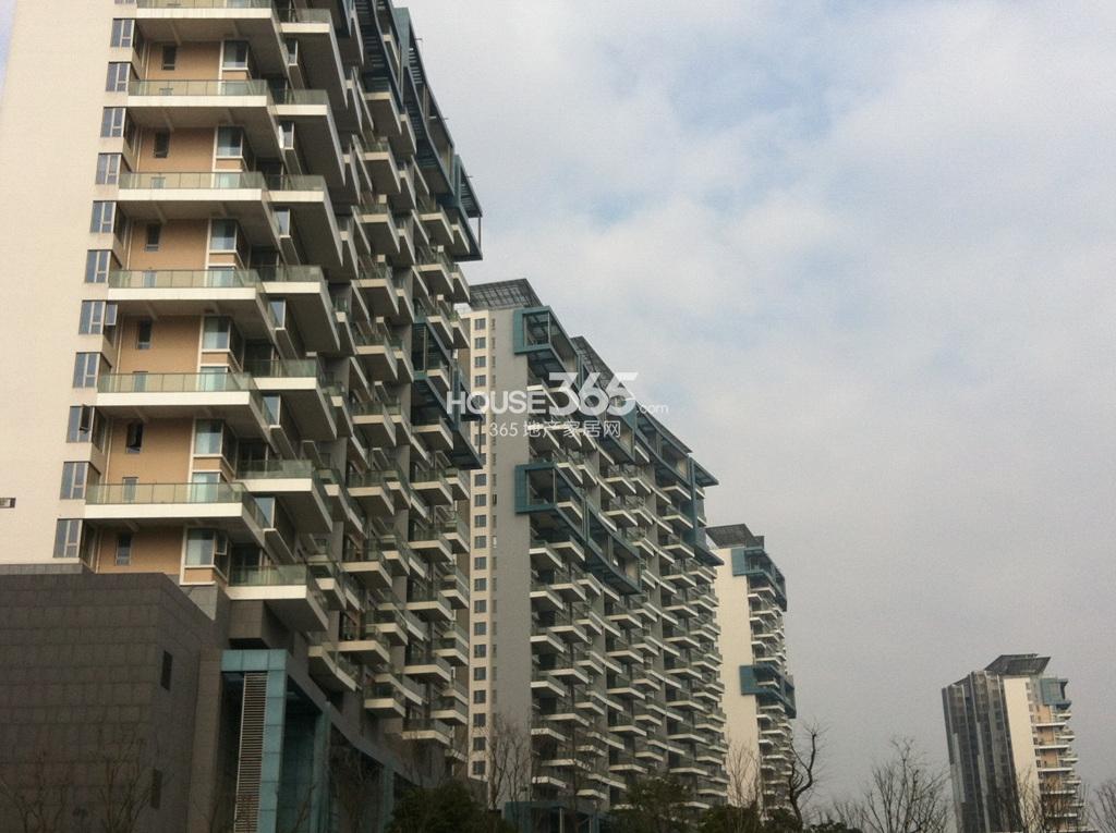 华鼎君临天下城外立面实景图（1.29）