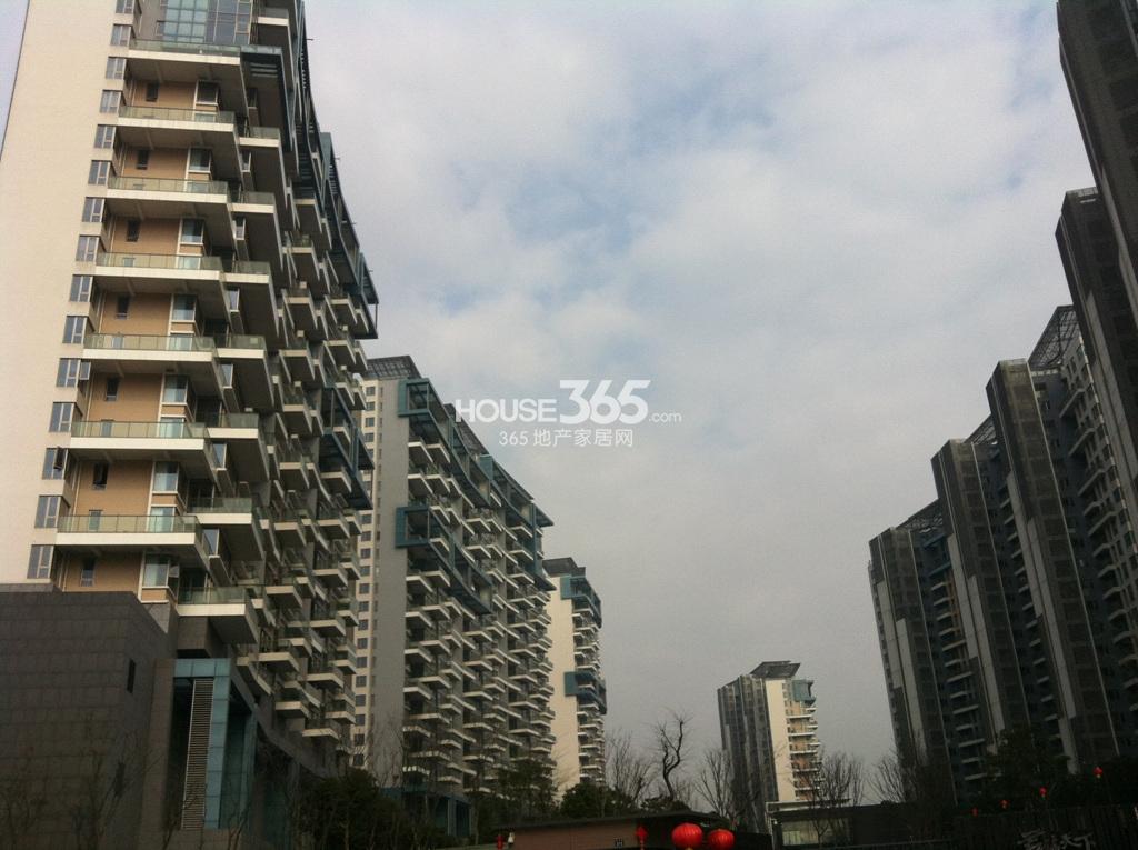 华鼎君临天下城外立面实景图（1.29）