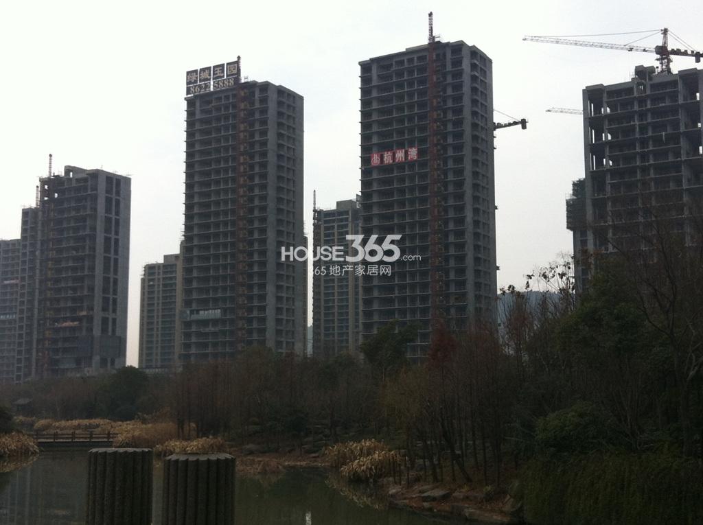 绿城玉园实景图（1.29）