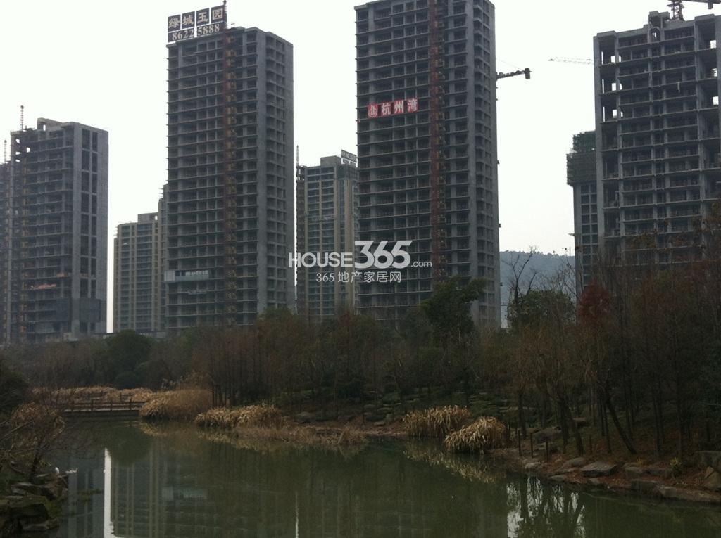 绿城玉园及周边水景公园（1.29）