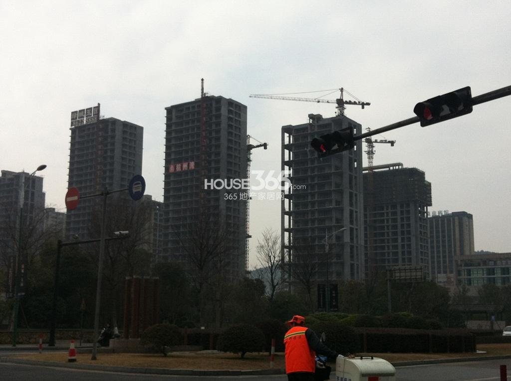绿城玉园实景图（1.29）
