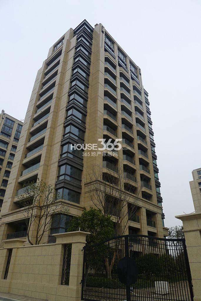德信臻园2月实景图-建筑单体