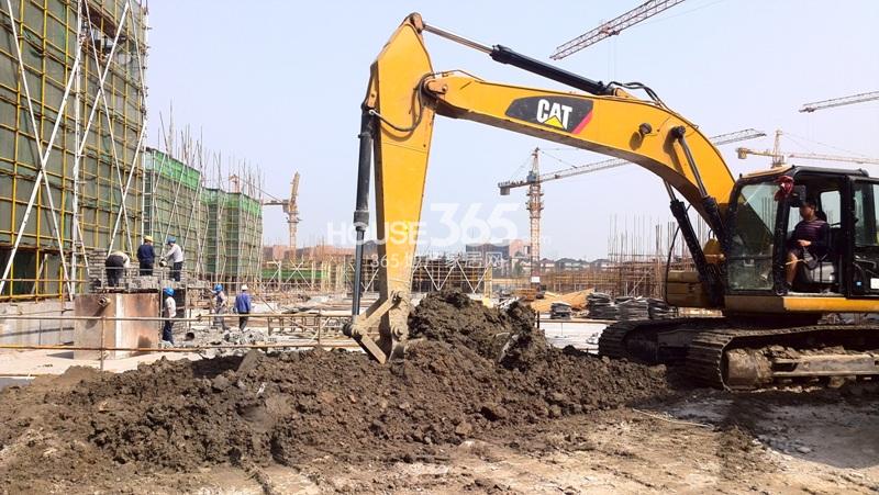 滨江金色黎明3月施工实景图 