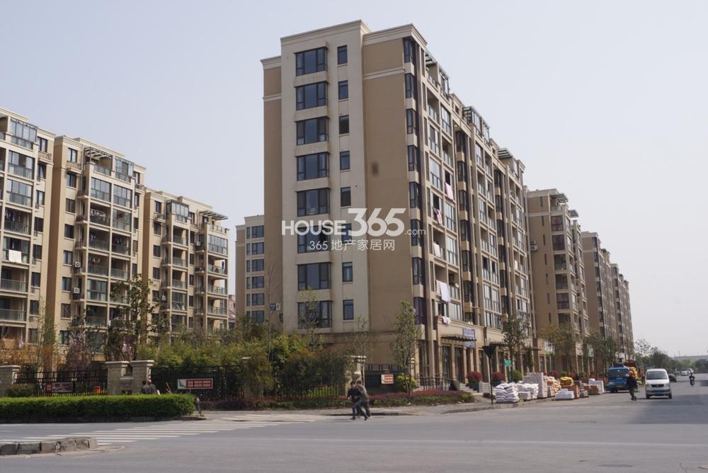 2013.3.14华润翠庭项目实景图