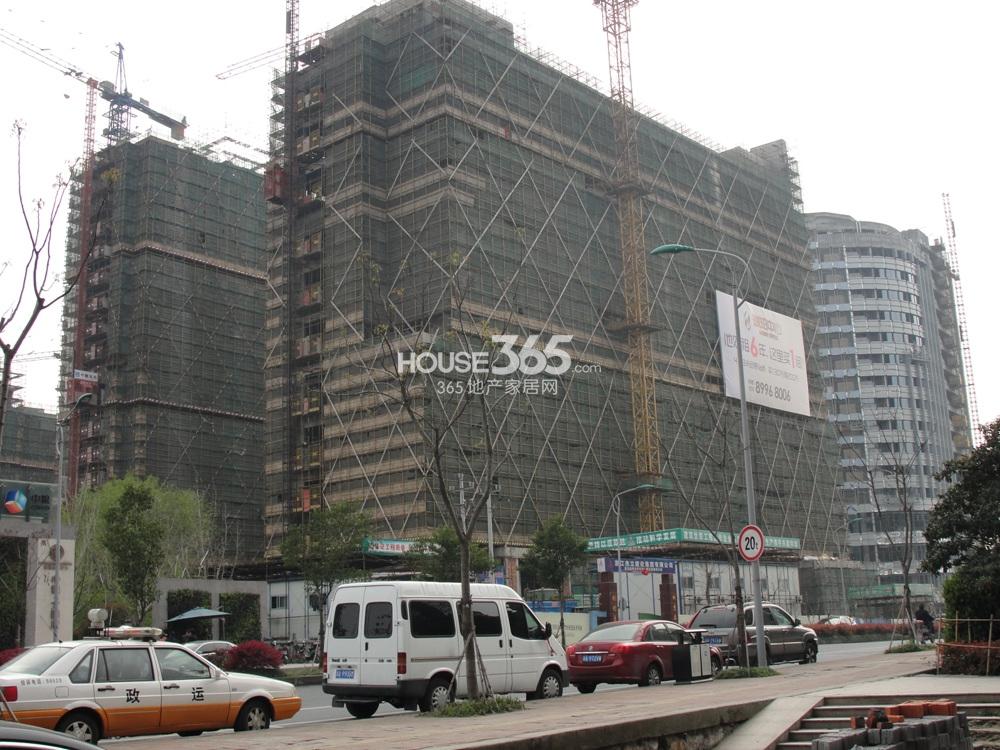2013.3.21琥珀中心实景图