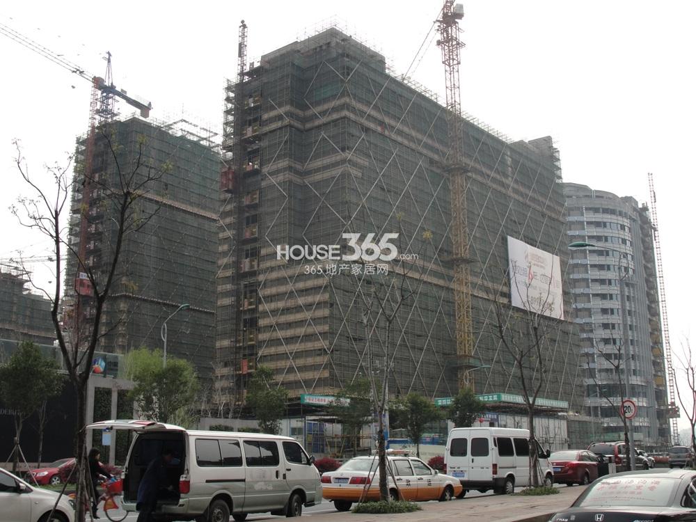 2013.3.21琥珀中心实景图