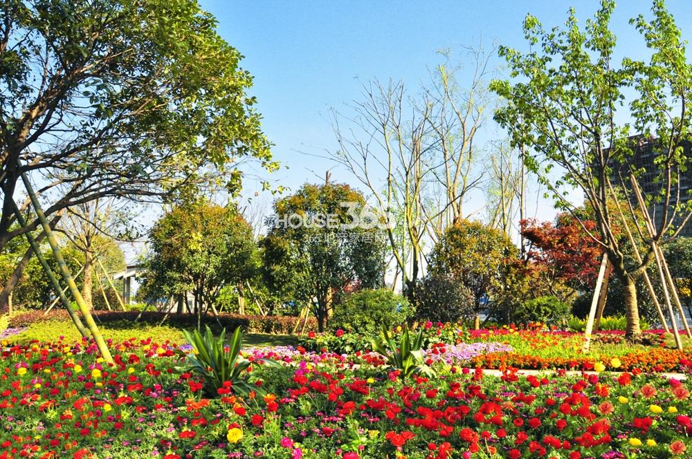 2013年4月公园城实景图