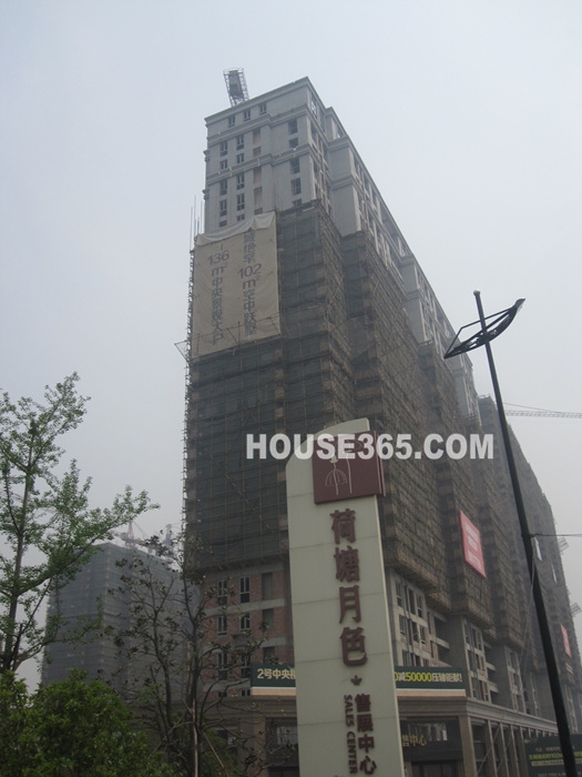 荷塘月色4月实景图6