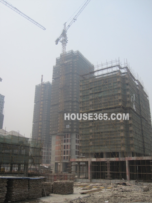 荷塘月色4月实景图5