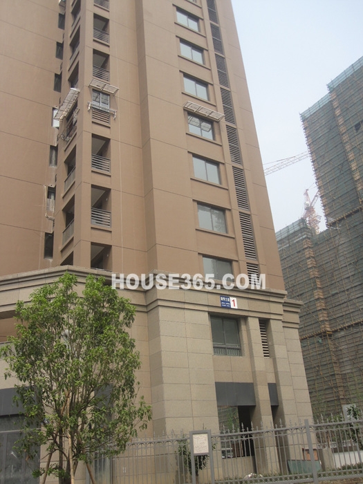 城市风景4月实景图1