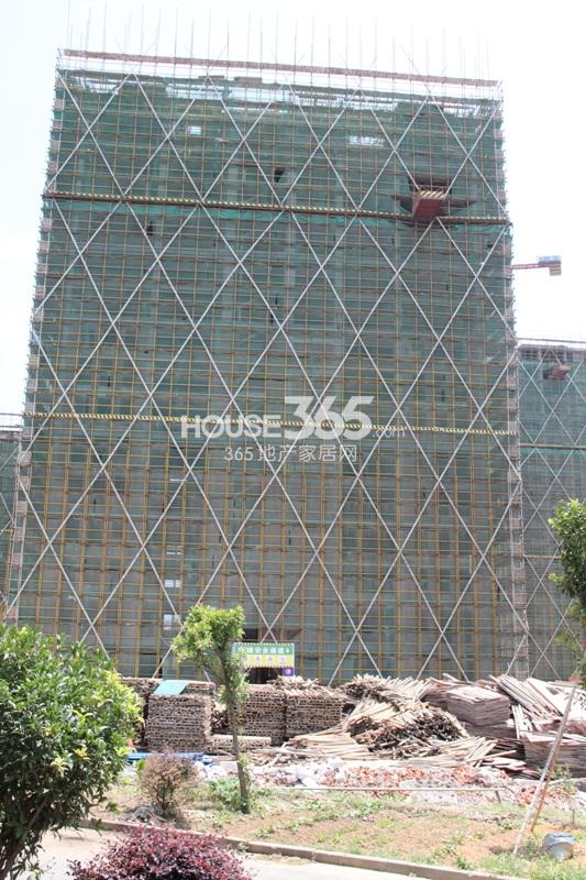 西溪海工程进度（2013.5）