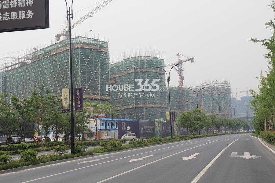 滨江金色黎明项目实景图 2013.5