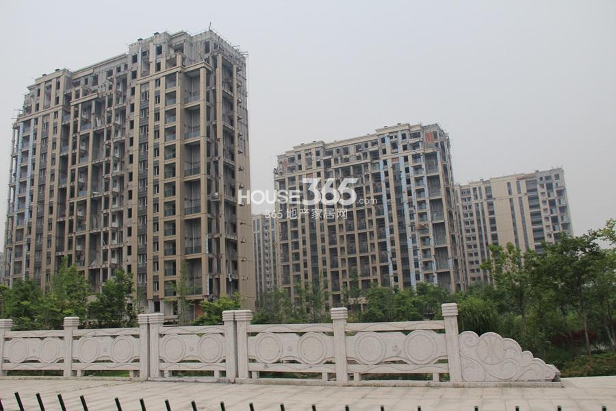 滨江金色黎明15、16号楼施工项目实景图 2013.5