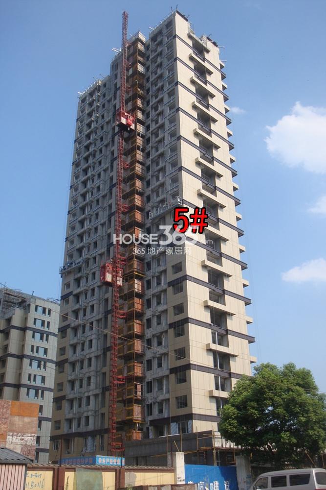 2013.7.10铂金名筑实景图--5号楼