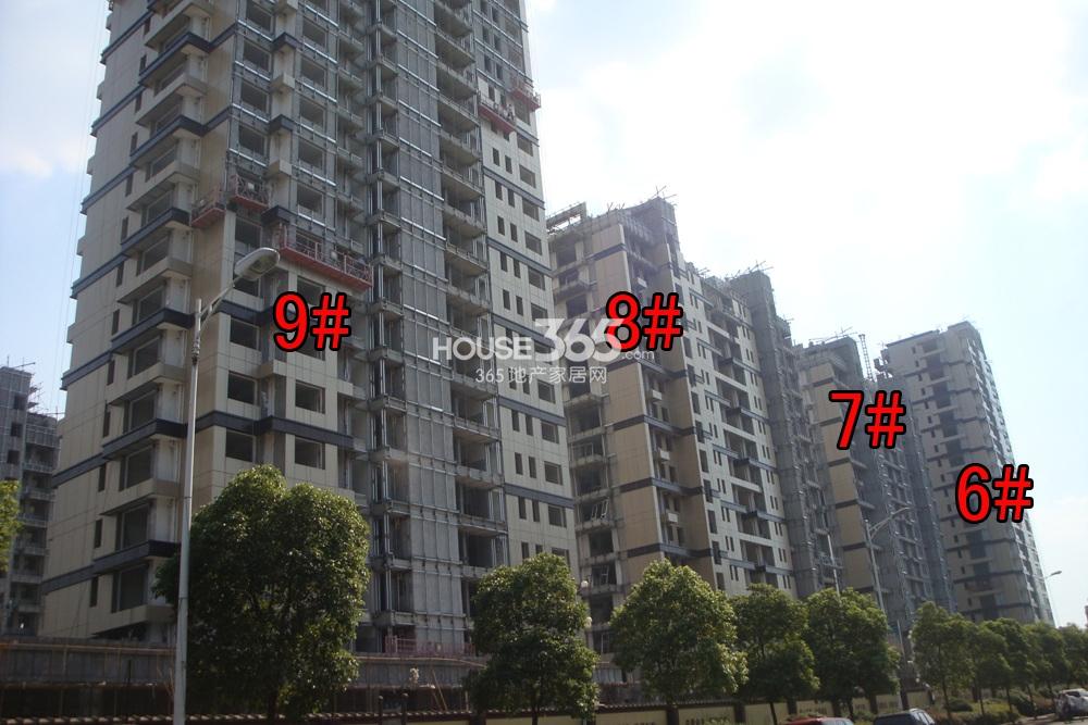 2013.7.10铂金名筑实景图--6、7、8、9号楼