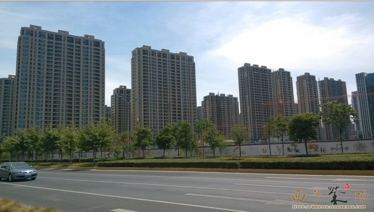 2013年8月中旬绿城明月江南整体实景图
