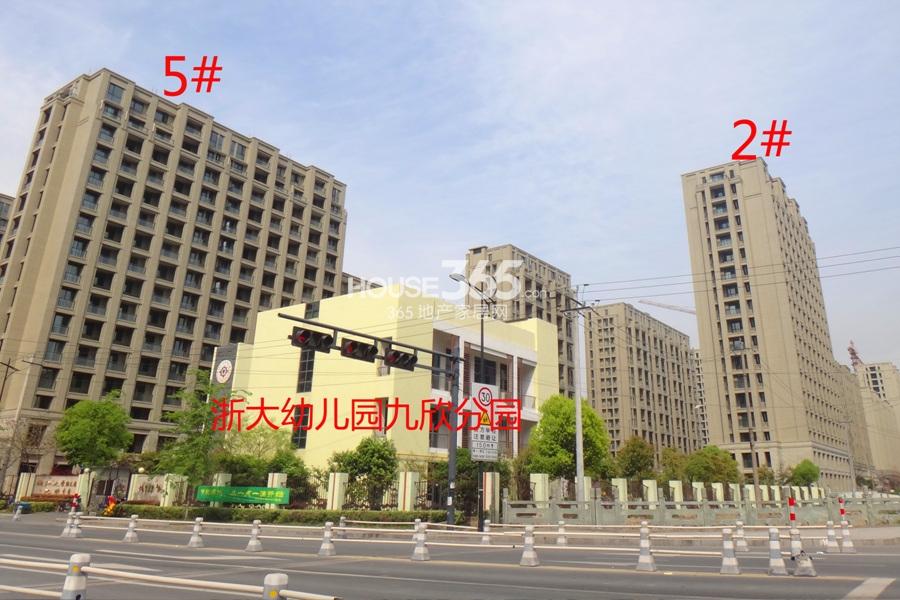 德信泊林印象项目2、5号楼实景图 2013.8摄