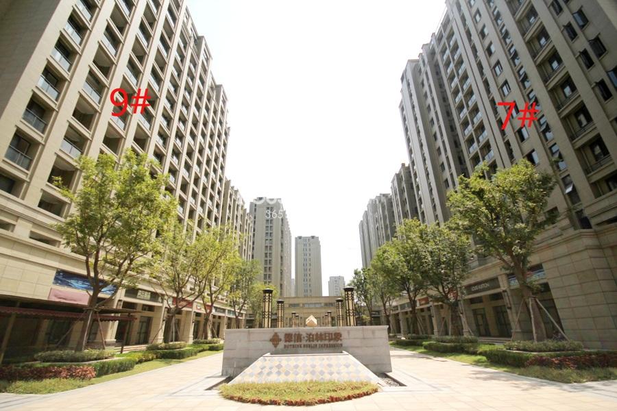 德信泊林印象项目7、9号楼实景图 2013.8摄