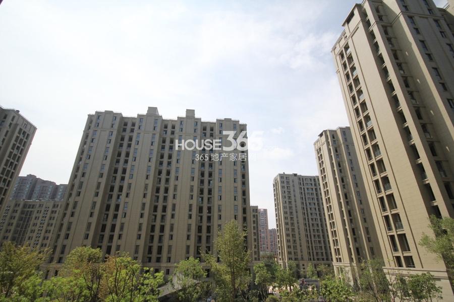 德信泊林印象项目实景图 2013.8摄