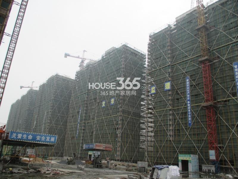 西溪海工程进度（2013.10）